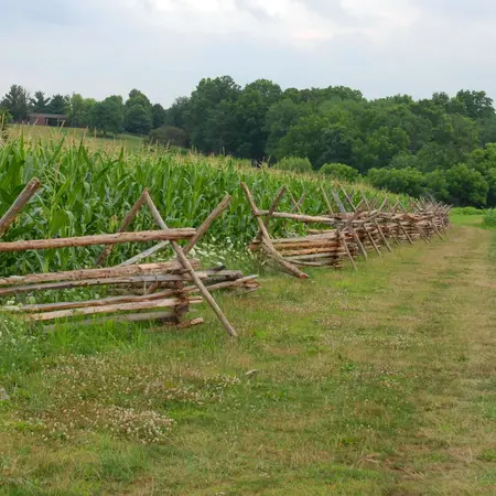 Friends of Monmouth Battlefield