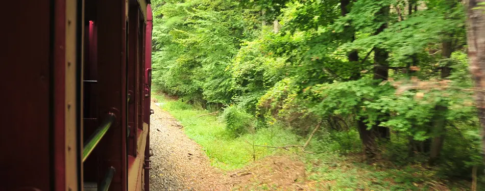 All Aboard the Tioga Central Railroad! (update 2025)